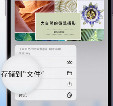 聂拉木apple维修中心分享iPhone文件应用中存储和找到下载文件