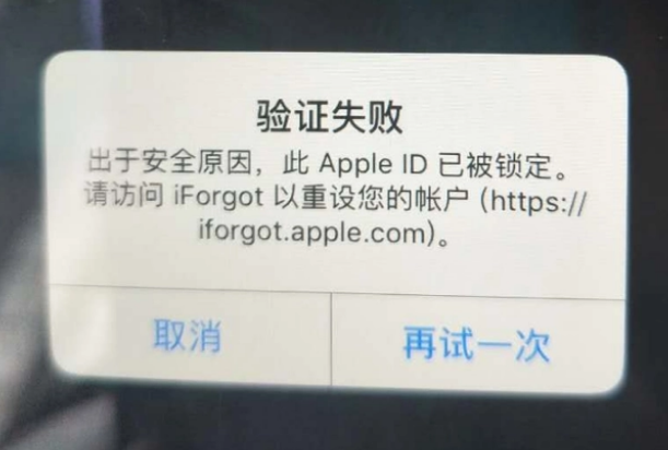 聂拉木iPhone维修分享iPhone上正常登录或使用AppleID怎么办 