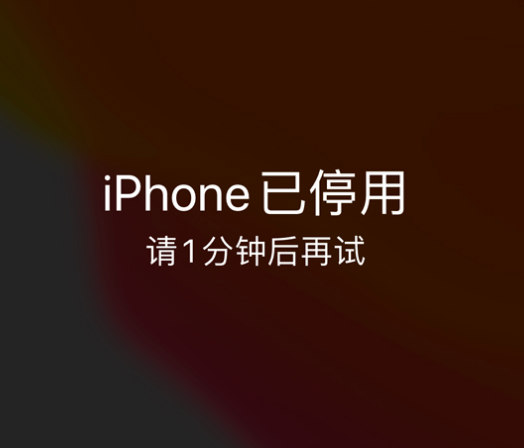 聂拉木苹果手机维修分享:iPhone 显示“不可用”或“已停用”怎么办？还能保留数据吗？ 