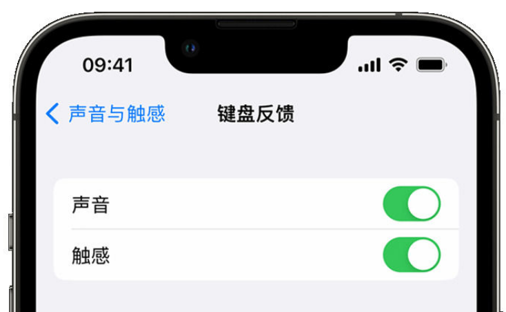 聂拉木苹果手机维修分享iPhone 14触感键盘使用方法 