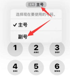 聂拉木苹果14维修店分享iPhone 14 Pro Max使用副卡打电话的方法 