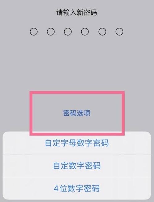 聂拉木苹果14维修分享iPhone 14plus设置密码的方法 