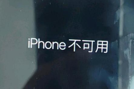 聂拉木苹果服务网点分享锁屏界面显示“iPhone 不可用”如何解决 