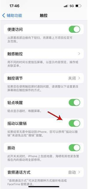 聂拉木苹果手机维修分享iPhone手机如何设置摇一摇删除文字 