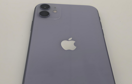 聂拉木苹果11系统维修分享iPhone11手机系统崩溃无法开机如何解决 